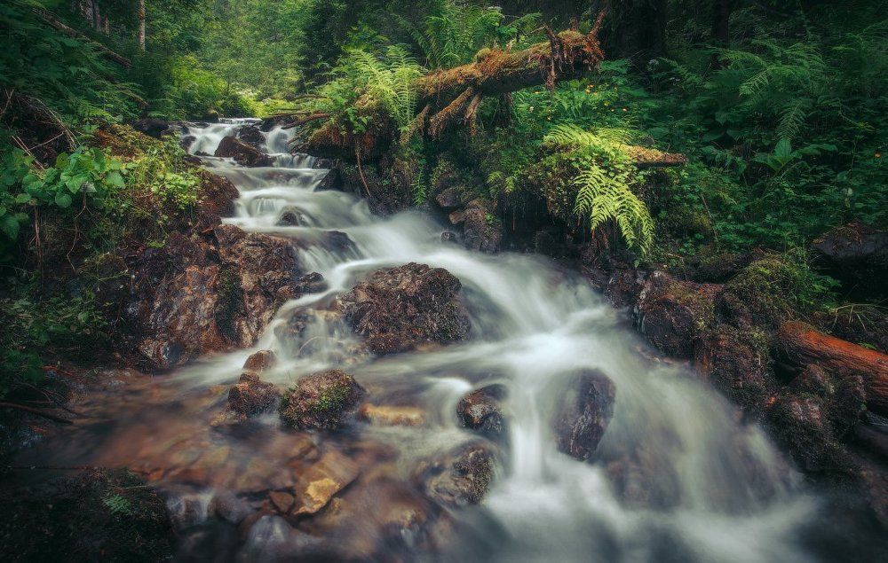 Горный  ручей