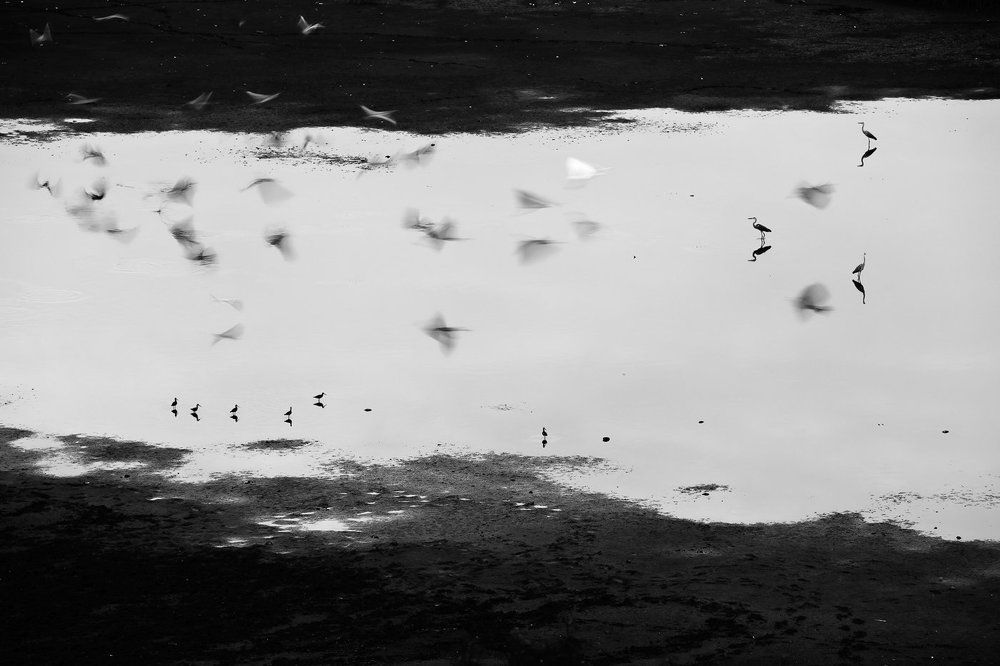 Сумеречные призраки.