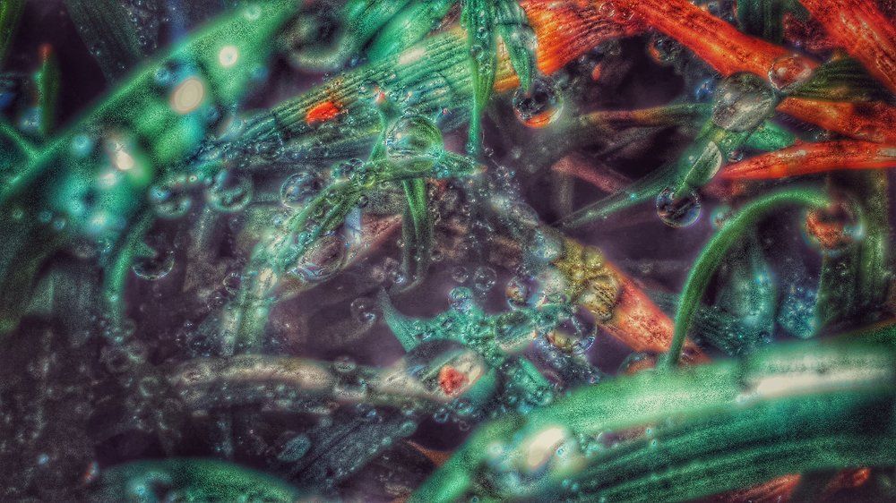 Слезы небо....