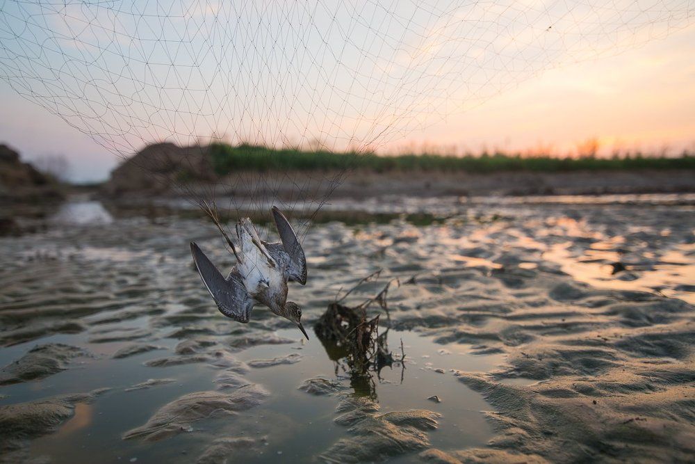 Кольцо на память