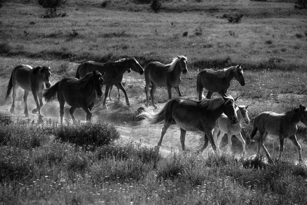 Мои мысли...