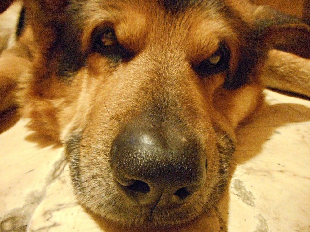 Don't wake me up, please