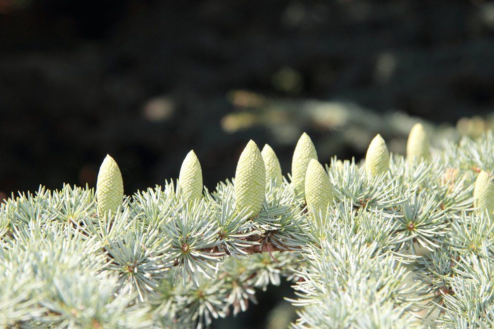 Мы любим стоять