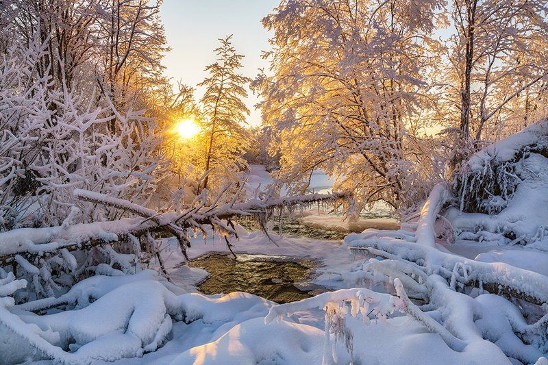 Danil Fadeev, Russia