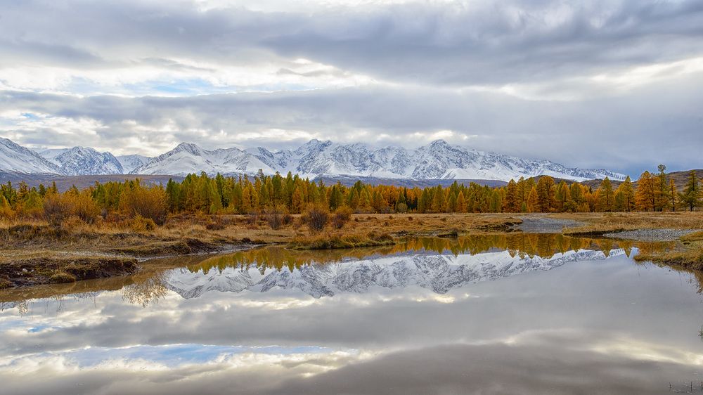 В долине Курая