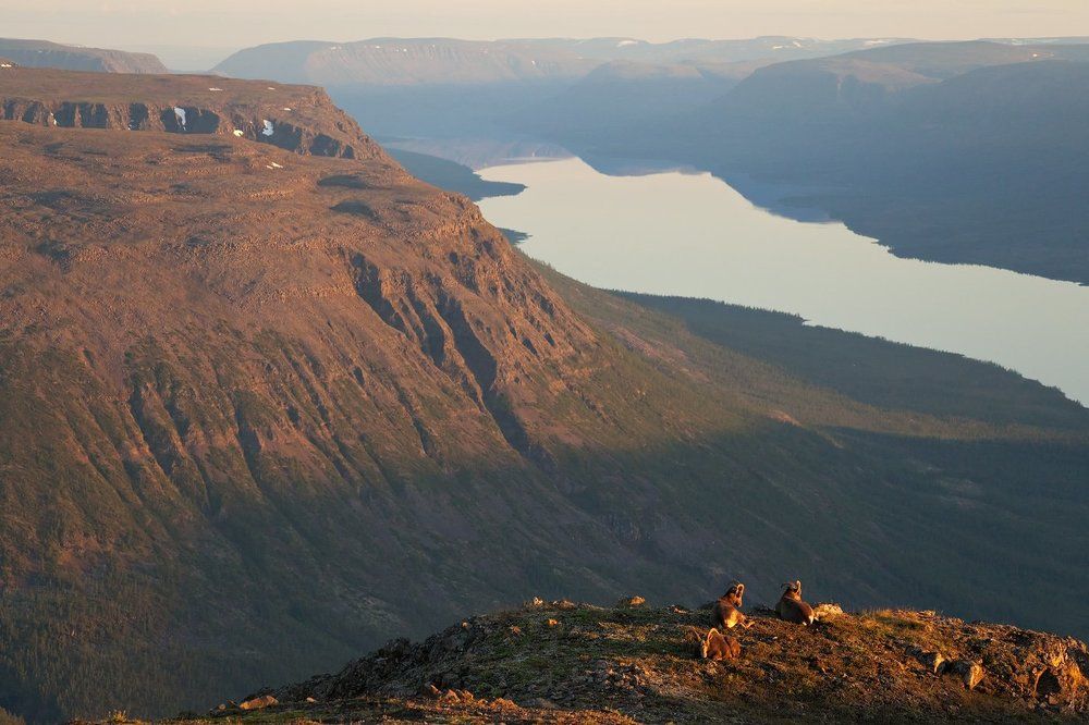 В последних лучах заходящего солнца