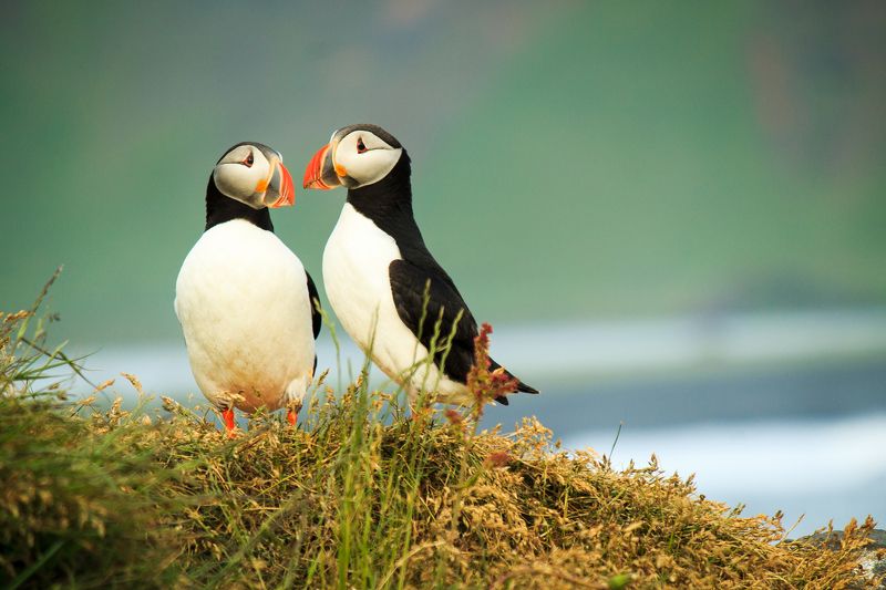 Михаил Михайловский, Russia