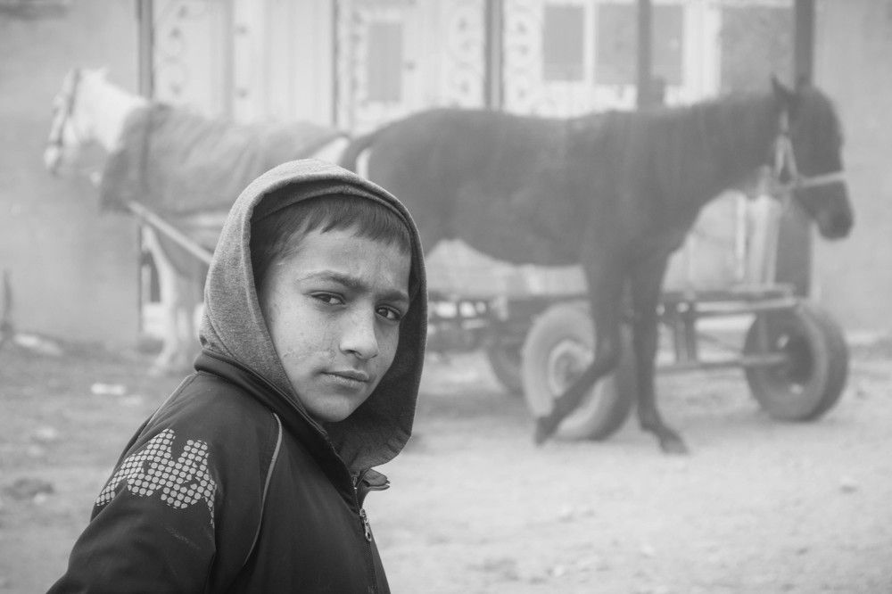 Мальчик с конями