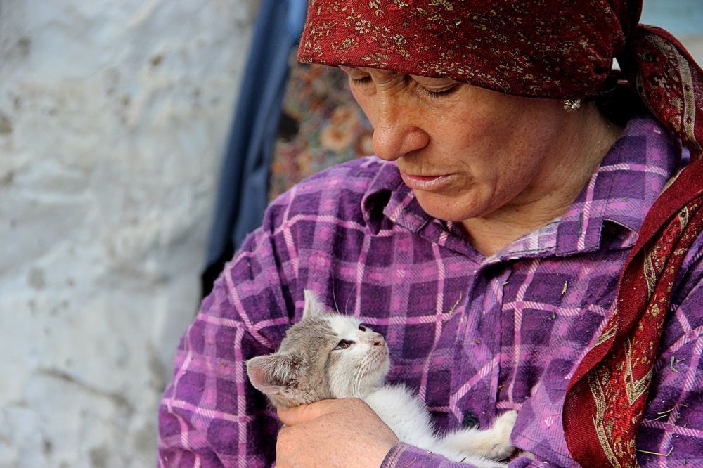 Котенок в руках хозяйки