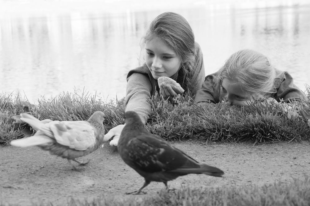 Любовь и голуби