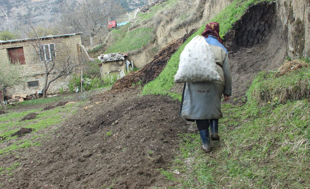 мешок картошки