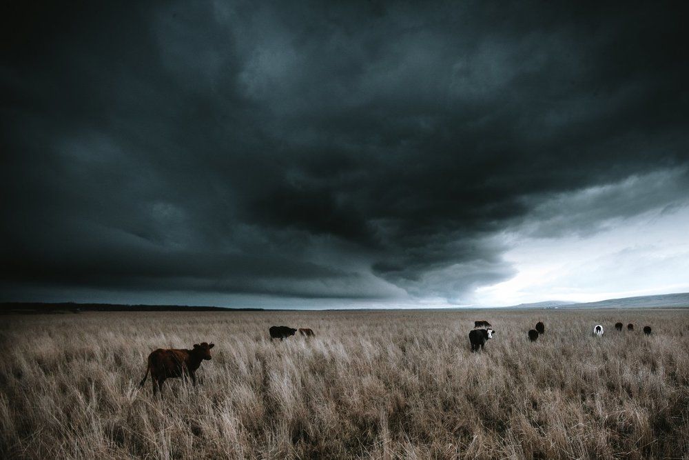 Надвигается циклон