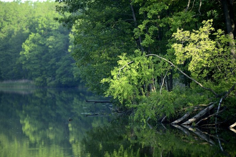 Александр, Russia