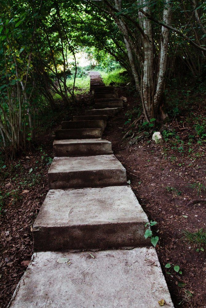 Дорога к Храму.