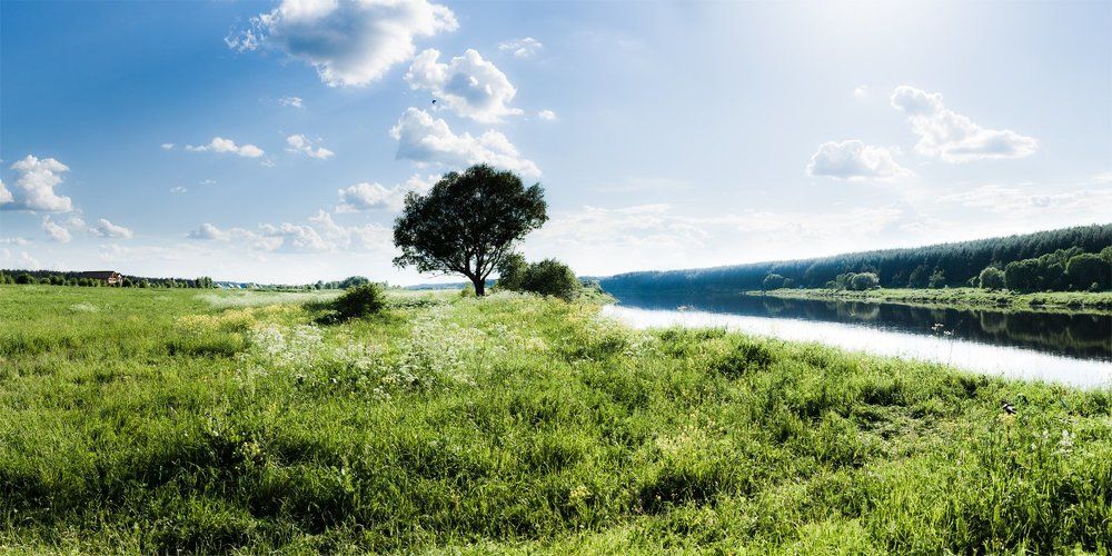 На берегу волги