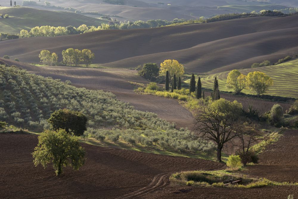 Осеннее утро в Тоскане