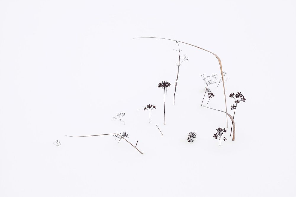 Зимний иероглиф