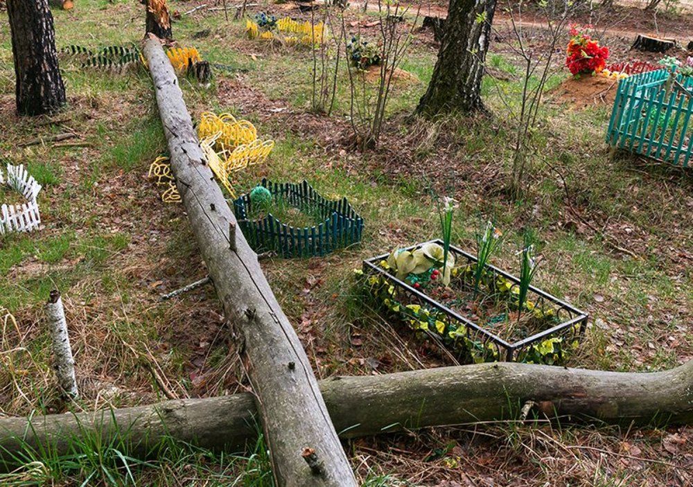 Из серии Кладбище домашних животных.