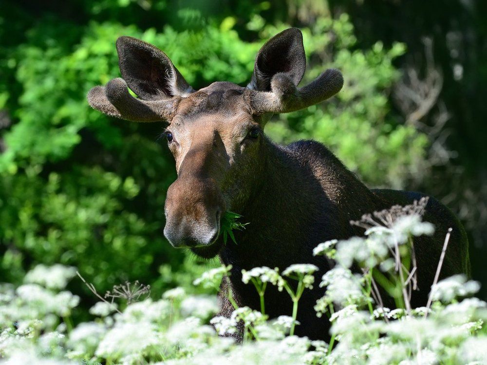 Вот и встретились