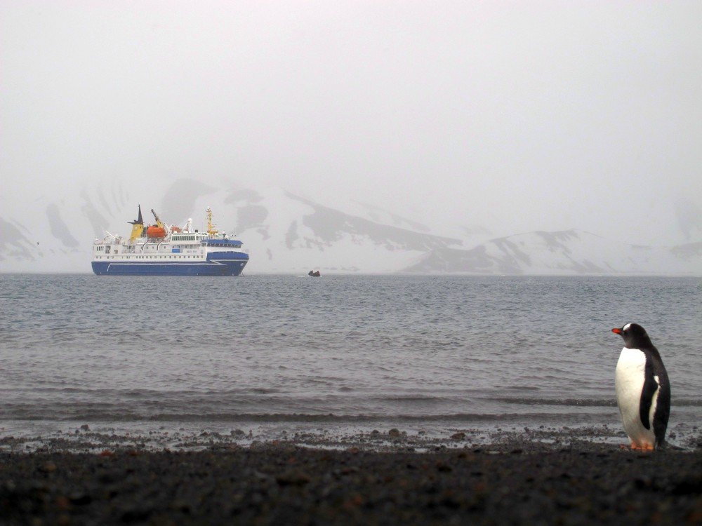 Что у нас сегодня? А, опять туристы...