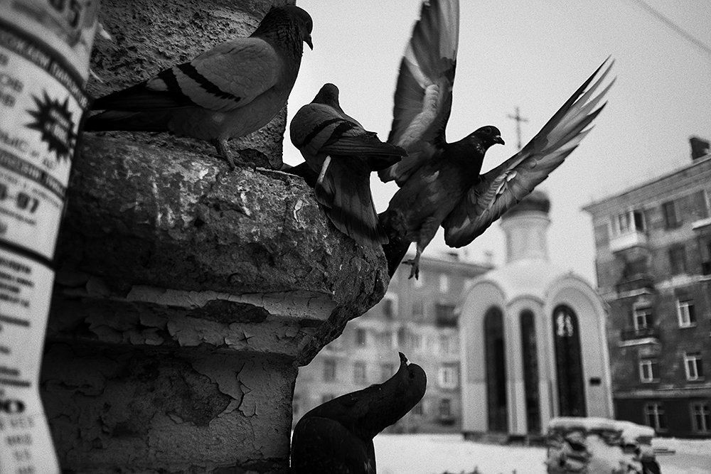 Новосибирск