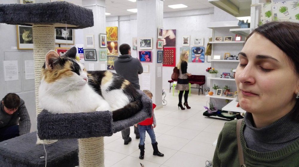 кривляка