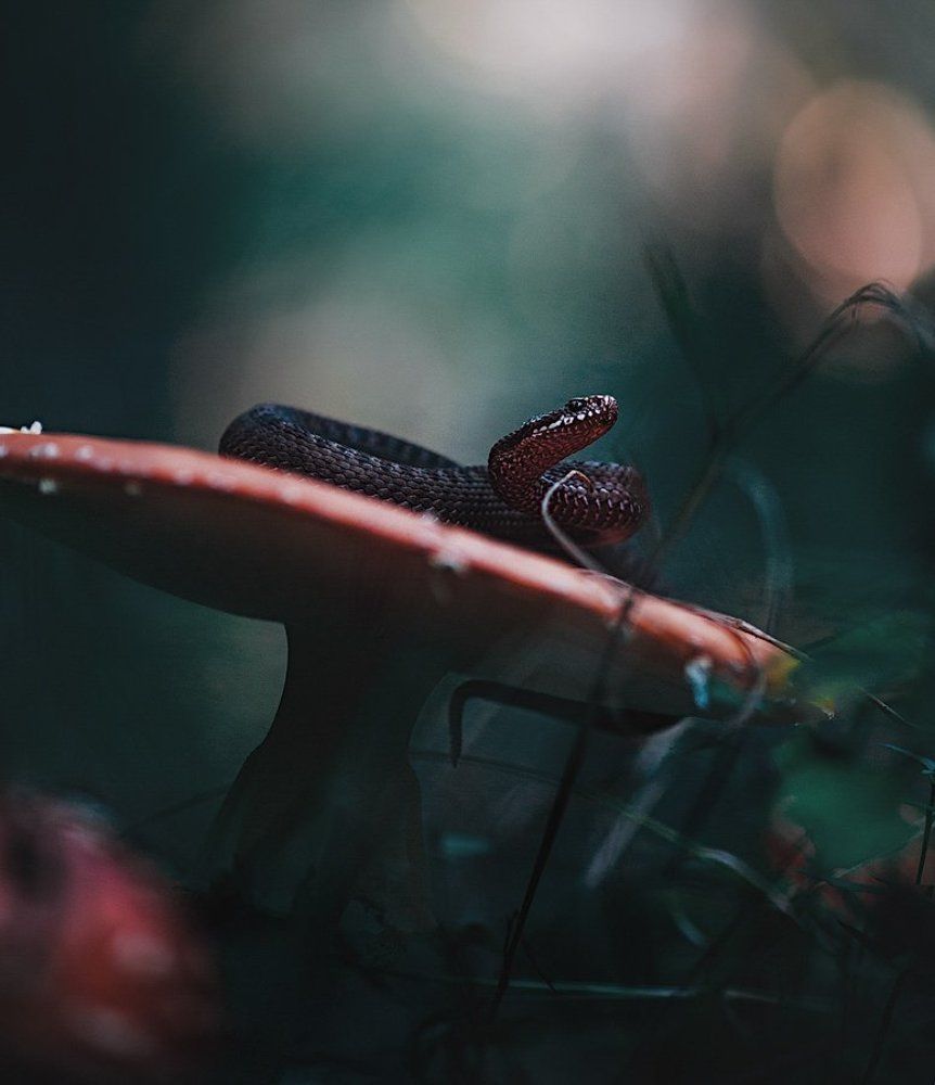 danger, do not enter.