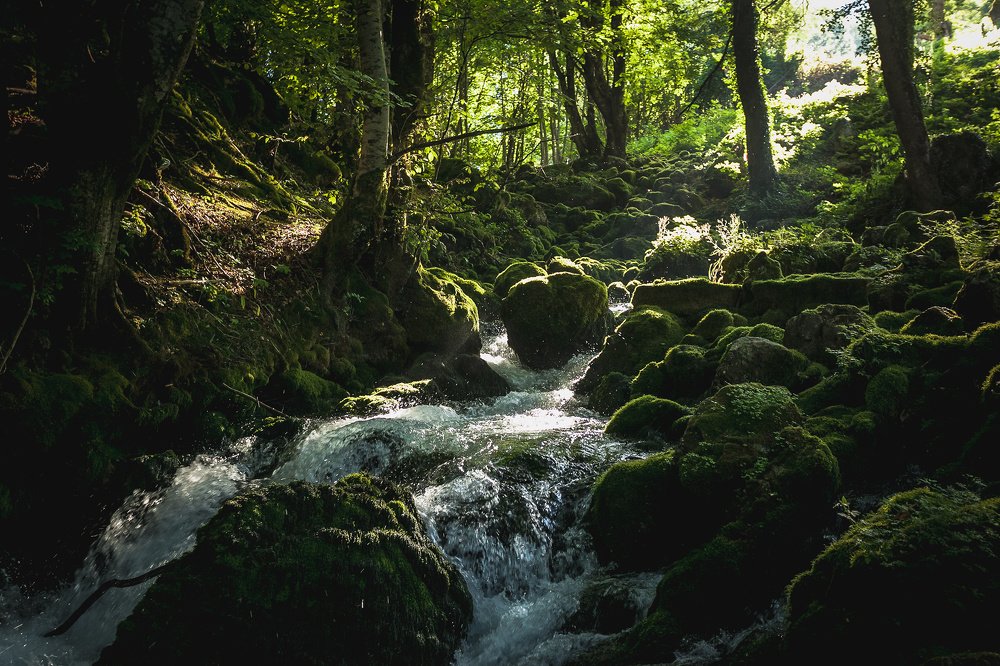 Зеленый ручей