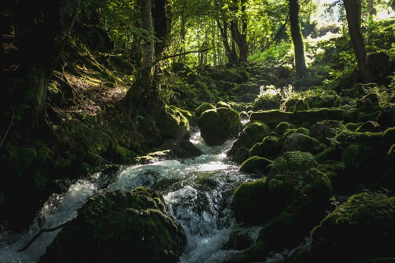 Сергей, Russia