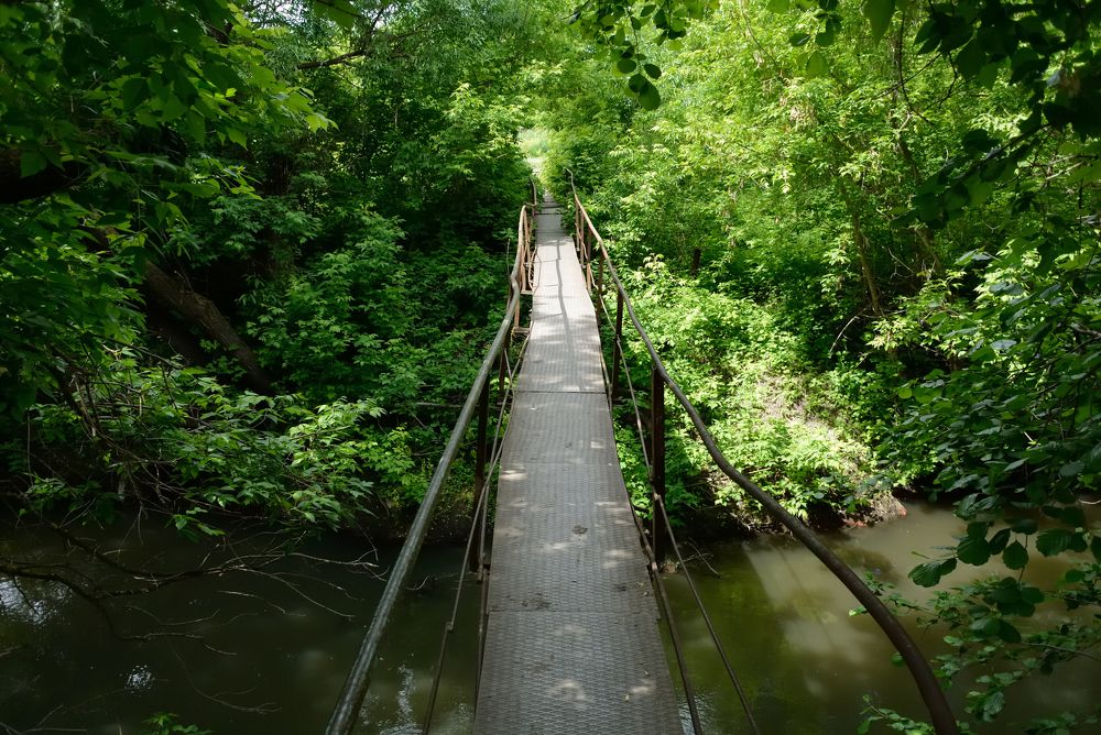 Мост на ту сторону