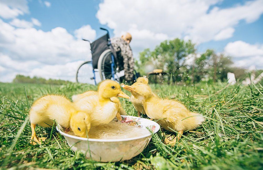 Водные процедуры