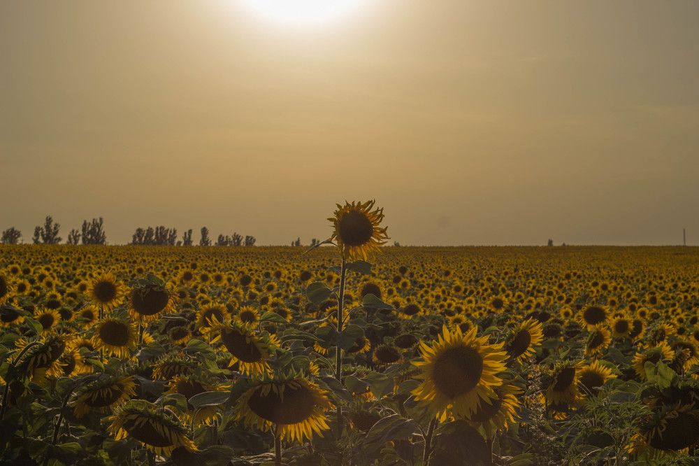 Быть первым.