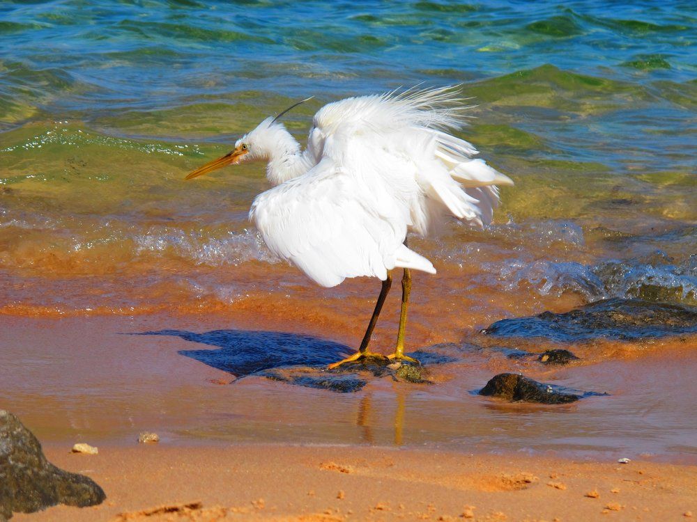 Ну и где моя еда!?