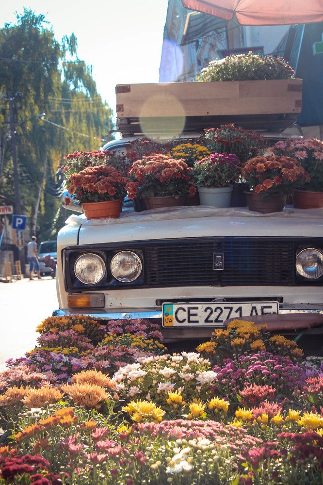 Красота момента