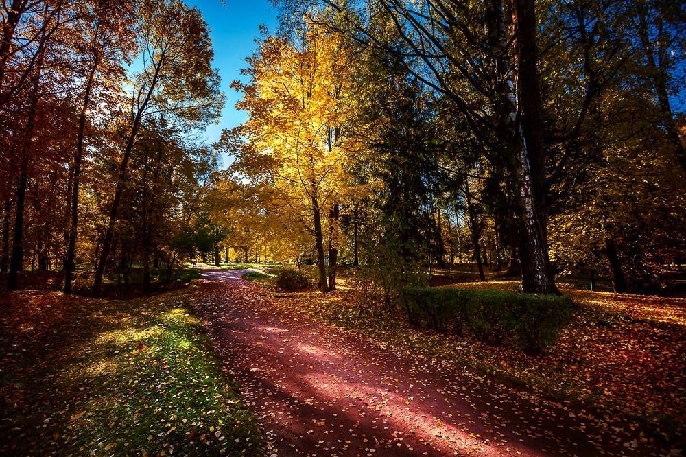 Негрустная осень