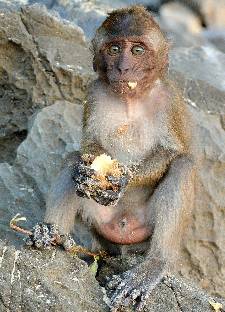 Обаятельный малыш