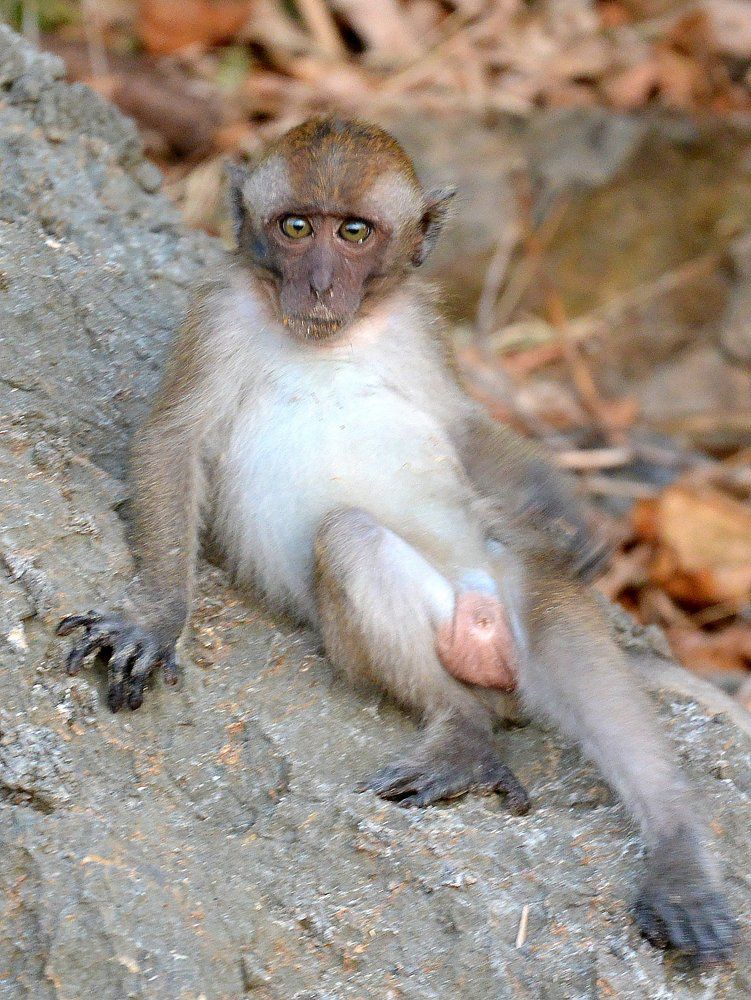 Профессиональная фотосессия