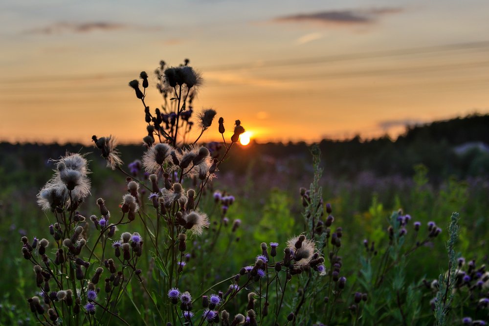 Прощанье с Солнцем