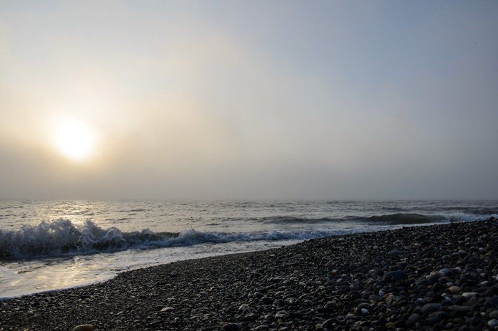 Туманный Альбион