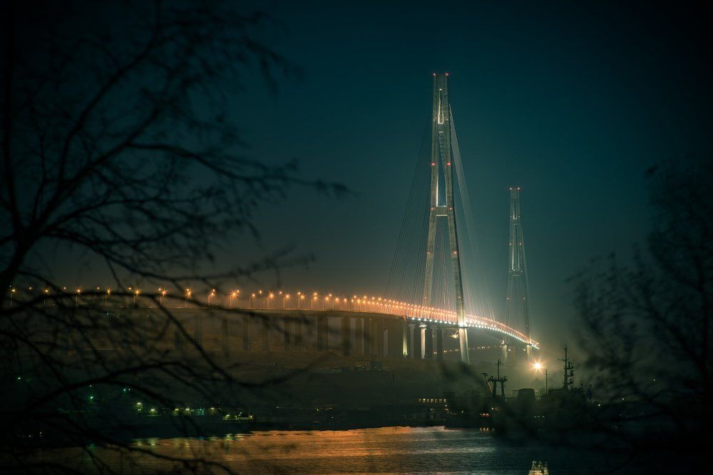 Мост в будущее