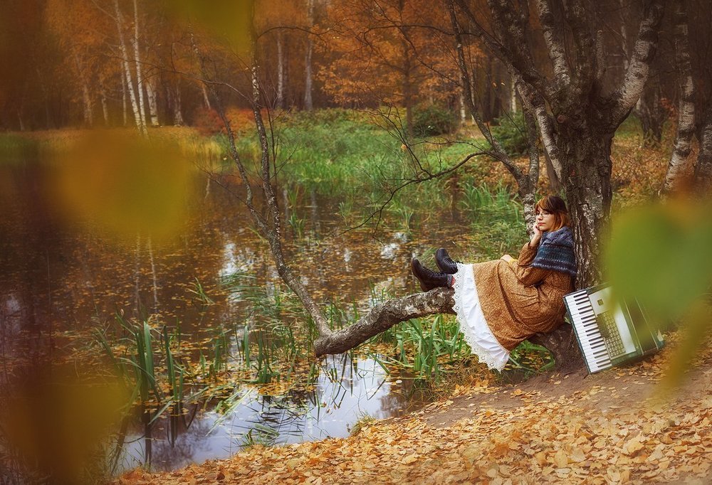 осенний ноктюрн