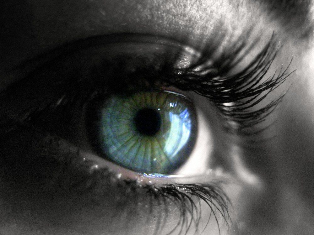 часть человека