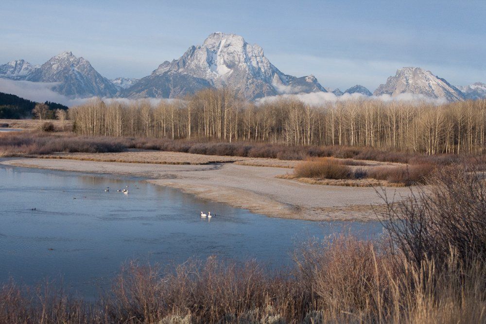 Morning in Yellowstone