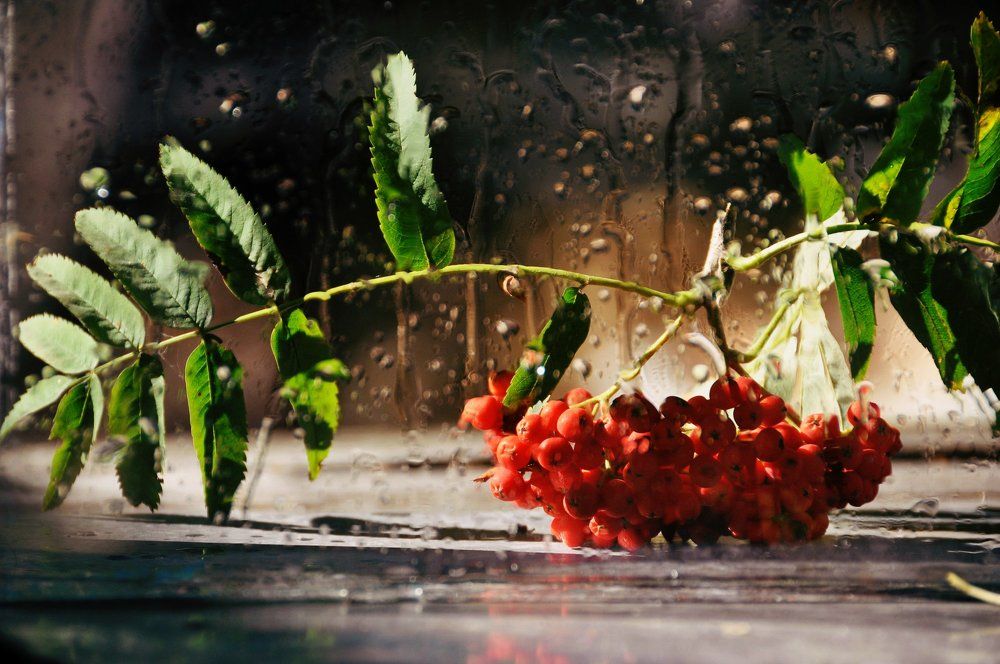 Photograph by Юлия