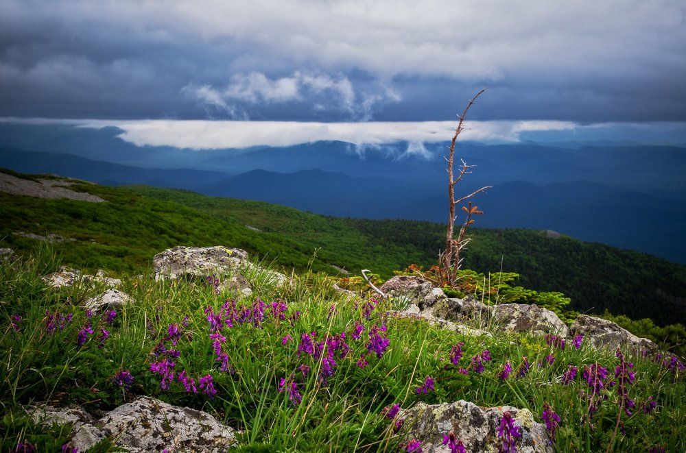 На границе миров