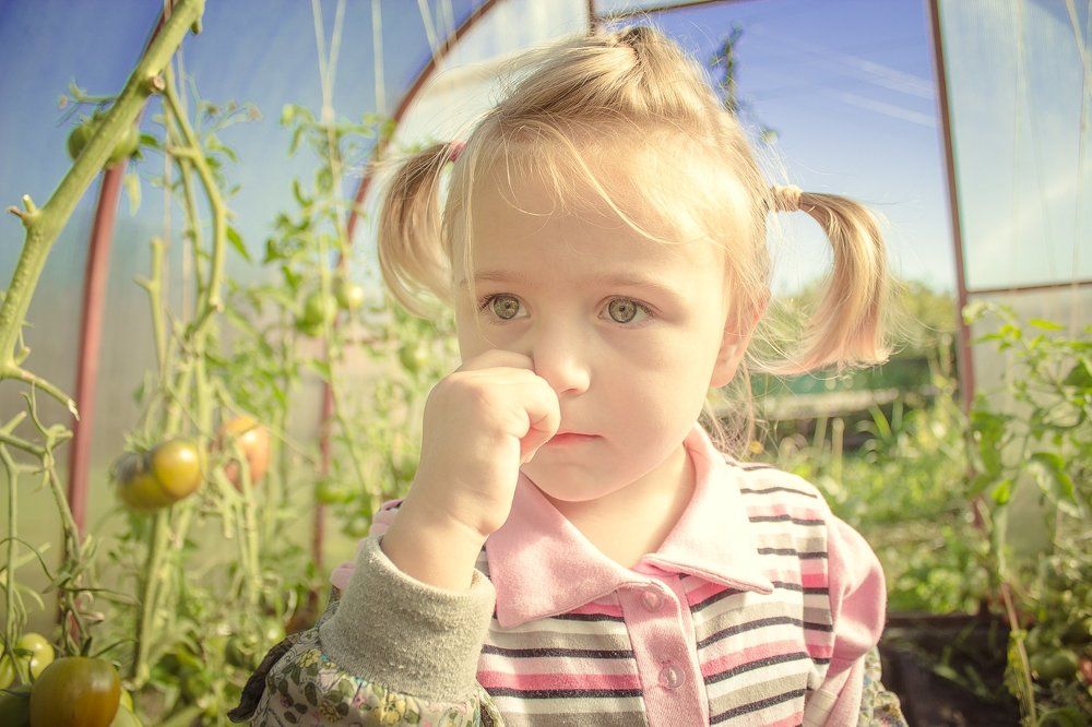 в помидорах