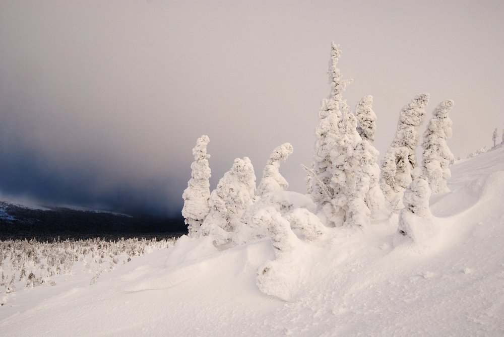 В холодных снегах Севера