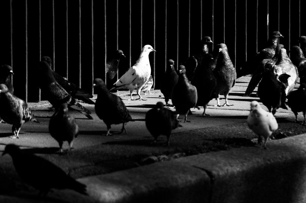 Photograph by Дина