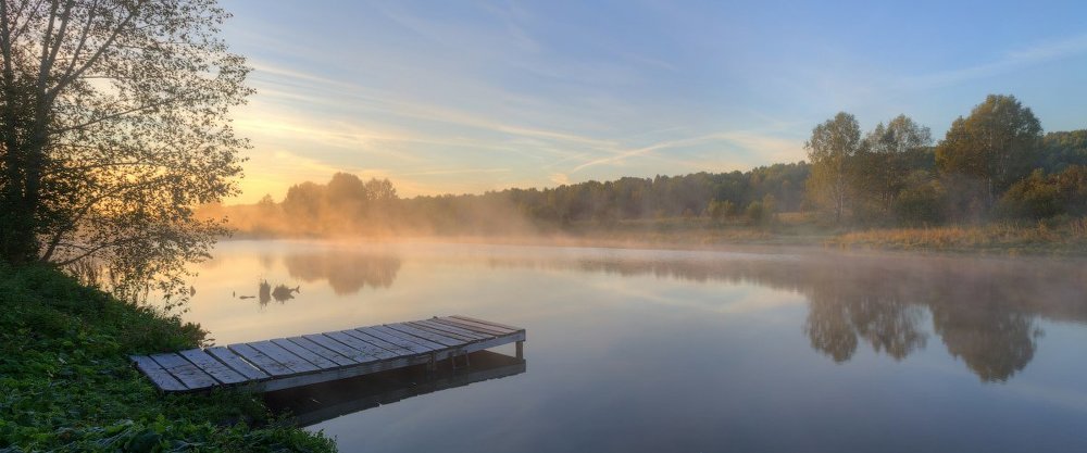 Утро на пруду