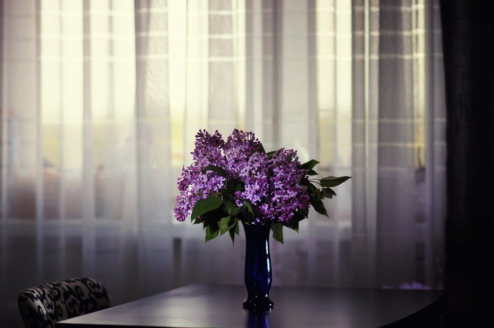 Букет сирени